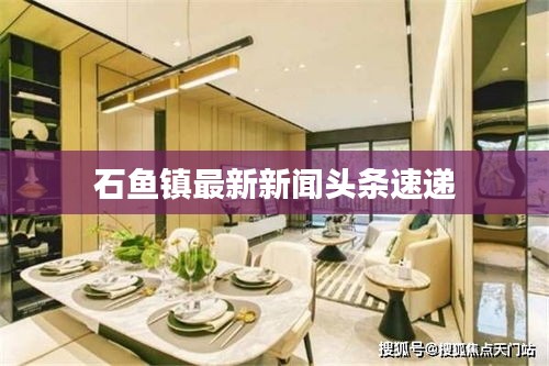 石鱼镇最新新闻头条速递