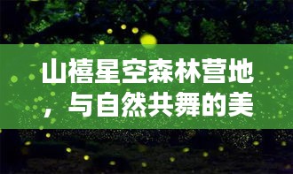 明夷于飞