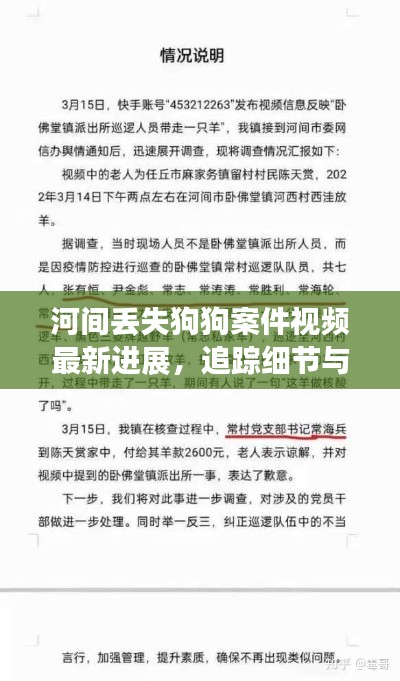 河间丢失狗狗案件视频最新进展，追踪细节与社会反思