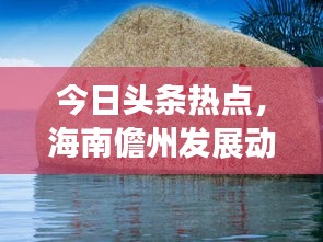 夯雀儿先飞