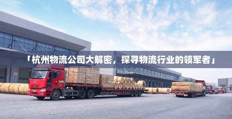 「杭州物流公司大解密，探寻物流行业的领军者」