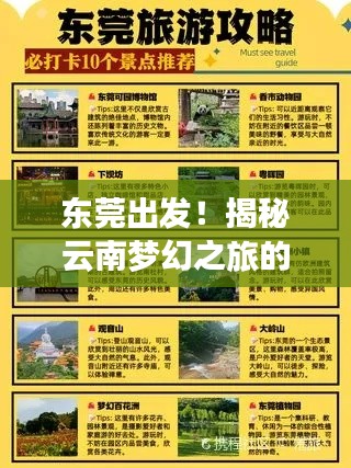 东莞出发！揭秘云南梦幻之旅的绝佳攻略