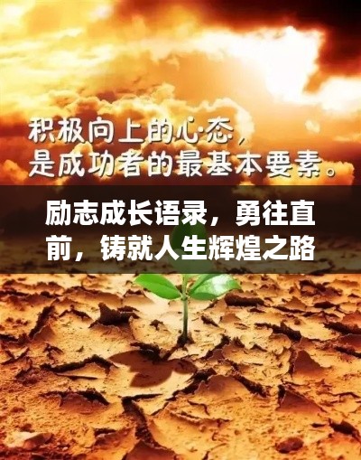 十年磨剑