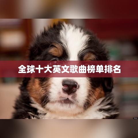 水静河飞