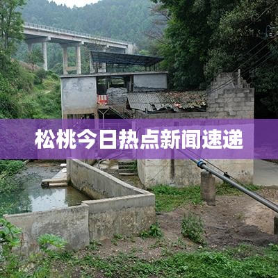 雍容尔雅