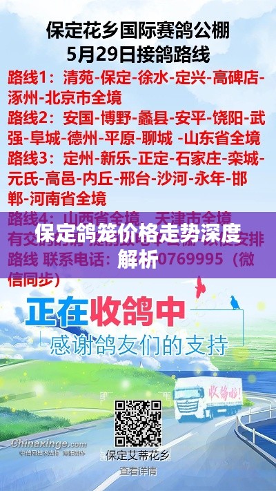 保定鸽笼价格走势深度解析