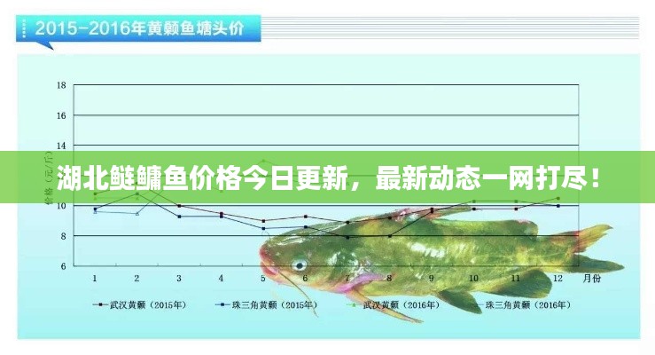 风流儒雅
