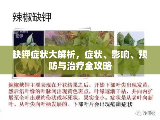缺钾症状大解析，症状、影响、预防与治疗全攻略