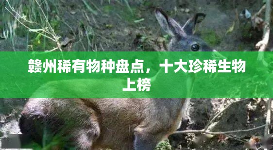 赣州稀有物种盘点，十大珍稀生物上榜