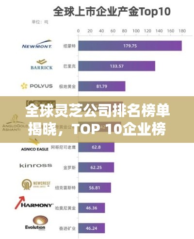 全球灵芝公司排名榜单揭晓，TOP 10企业榜单出炉！