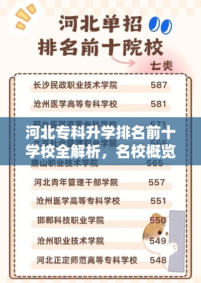 河北专科升学排名前十学校全解析，名校概览