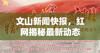 文山新闻快报，红网揭秘最新动态