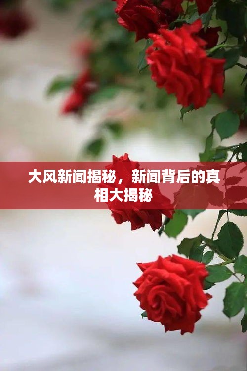 大风新闻揭秘，新闻背后的真相大揭秘