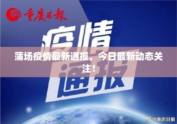 蒲场疫情最新通报，今日最新动态关注！