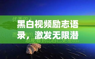 黑白视频励志语录，激发无限潜能，砥砺前行！