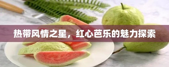 热带风情之星，红心芭乐的魅力探索