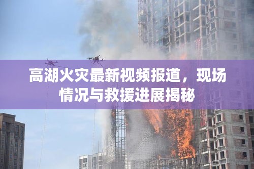 高湖火灾最新视频报道，现场情况与救援进展揭秘