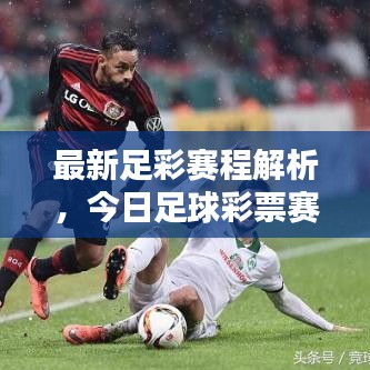 群雌粥粥