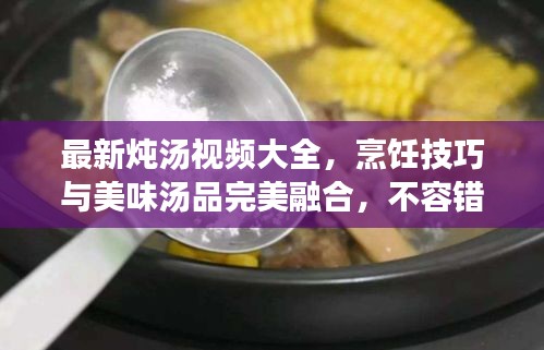 最新炖汤视频大全，烹饪技巧与美味汤品完美融合，不容错过！