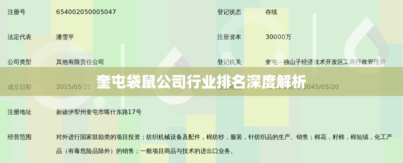 奎屯袋鼠公司行业排名深度解析