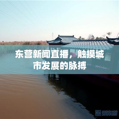 东营新闻直播，触摸城市发展的脉搏