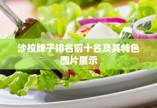 沙拉牌子排名前十名及其特色图片展示