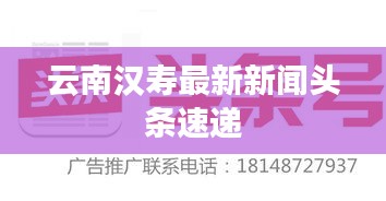 云南汉寿最新新闻头条速递