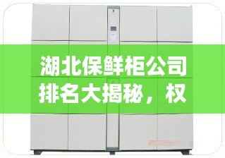 湖北保鲜柜公司排名大揭秘，权威榜单，不容错过！