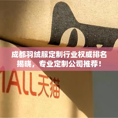成都羽绒服定制行业权威排名揭晓，专业定制公司推荐！