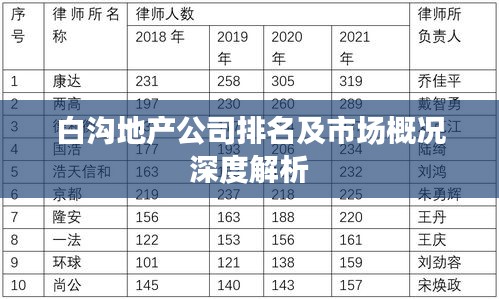 白沟地产公司排名及市场概况深度解析