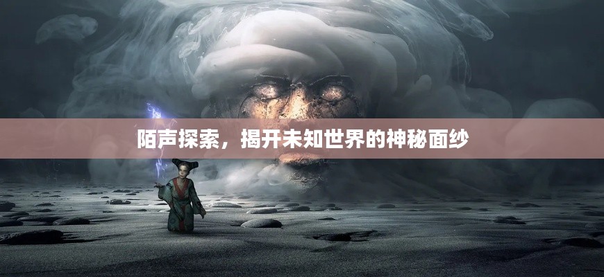 陌声探索，揭开未知世界的神秘面纱