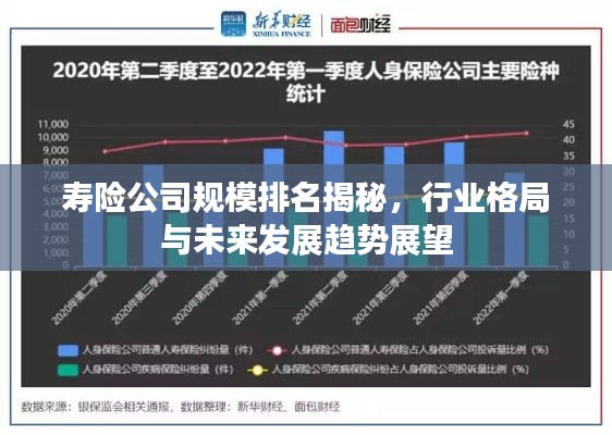 寿险公司规模排名揭秘，行业格局与未来发展趋势展望