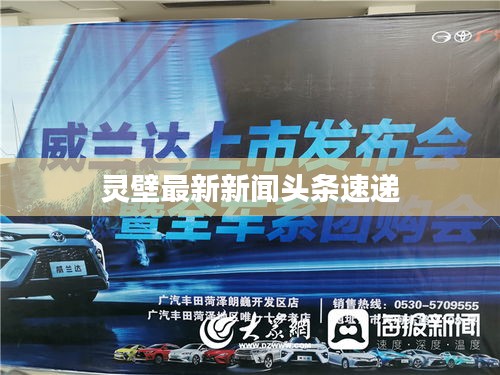灵壁最新新闻头条速递