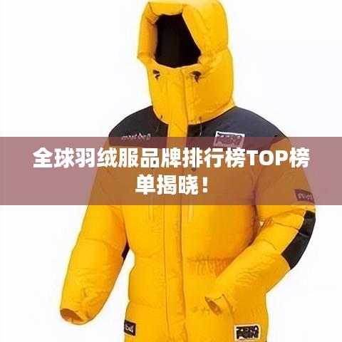 全球羽绒服品牌排行榜TOP榜单揭晓！