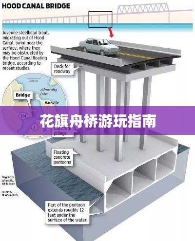 花旗舟桥游玩指南
