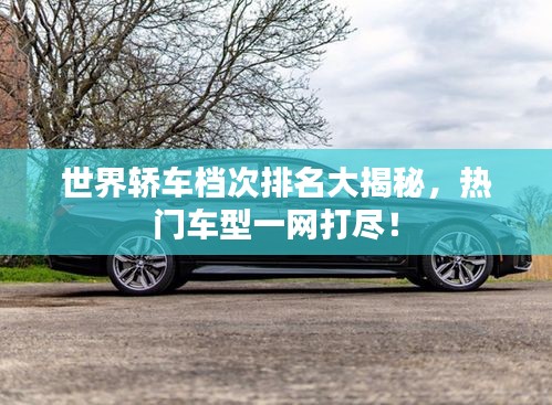 世界轿车档次排名大揭秘，热门车型一网打尽！