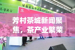 芳村茶城新闻聚焦，茶产业繁荣与创新发展
