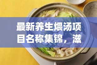 最新养生煨汤项目名称集锦，滋补美味一网打尽！