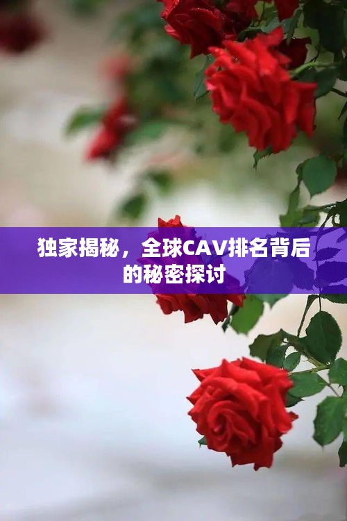 独家揭秘，全球CAV排名背后的秘密探讨