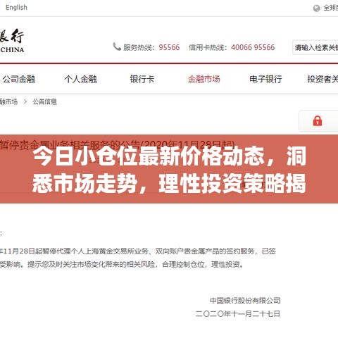 今日小仓位最新价格动态，洞悉市场走势，理性投资策略揭秘