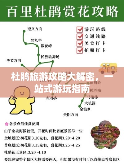 杜鹃旅游攻略大解密，一站式游玩指南