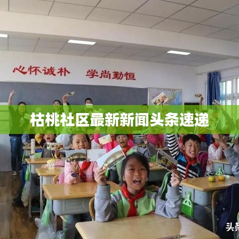 枯桃社区最新新闻头条速递