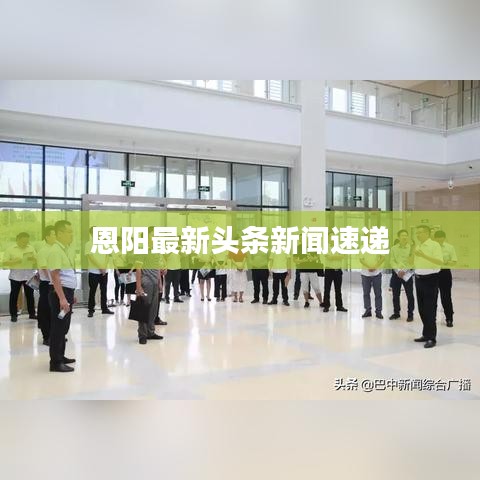 恩阳最新头条新闻速递